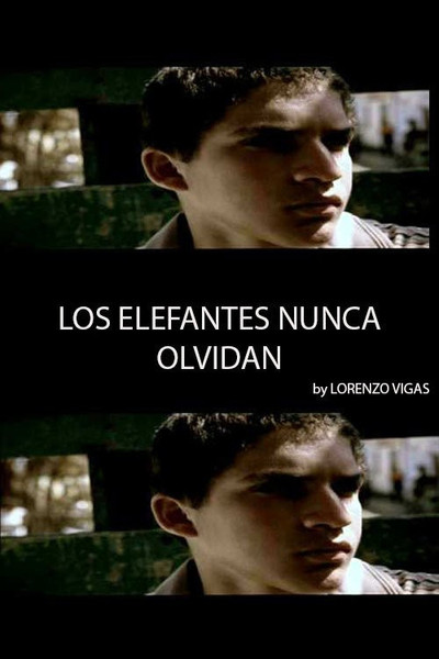 Póster de Los elefantes nunca olvidan
