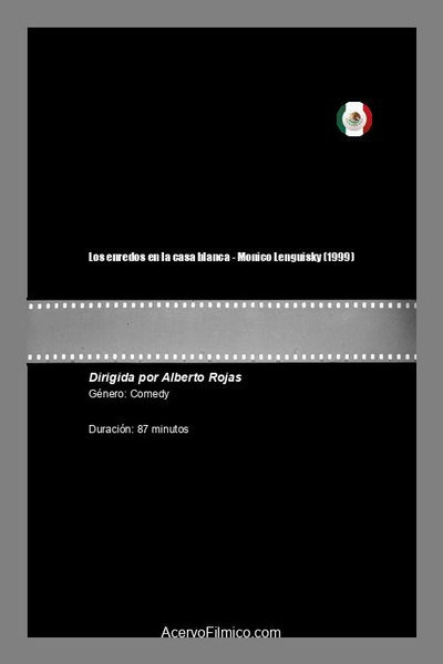 Póster de Los enredos en la casa blanca - Monico Lenguisky