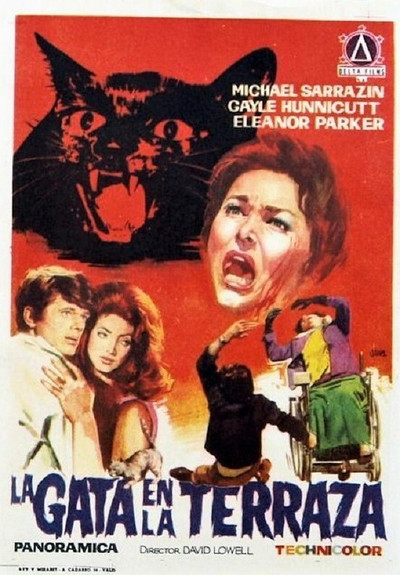 Póster de Los felinos