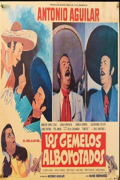 Póster de Los gemelos alborotados