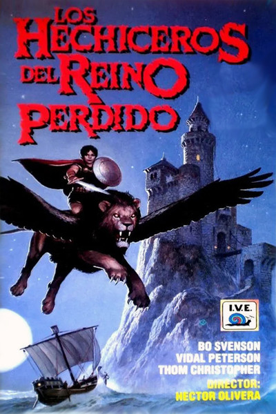 Póster de Los hechiceros del reino perdido