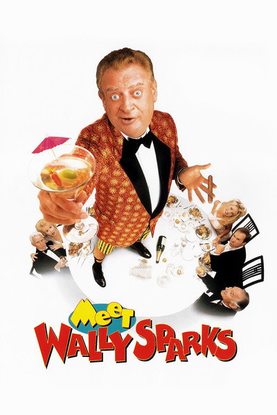 Póster de Los líos de Wally Sparks