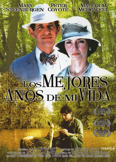Póster de Los mejores años de mi vida