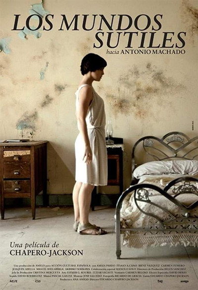 Póster de Los mundos sutiles