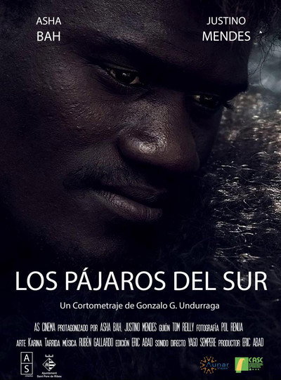 Póster de Los Pájaros del Sur