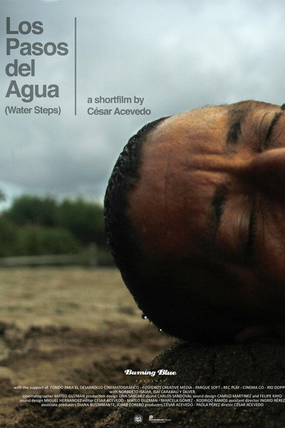 Póster de Los pasos del agua