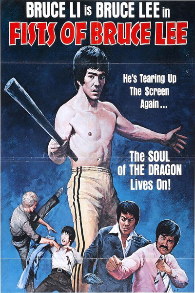 Póster de Los puños de Brece Lee