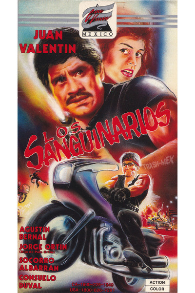 Póster de Los sanguinarios