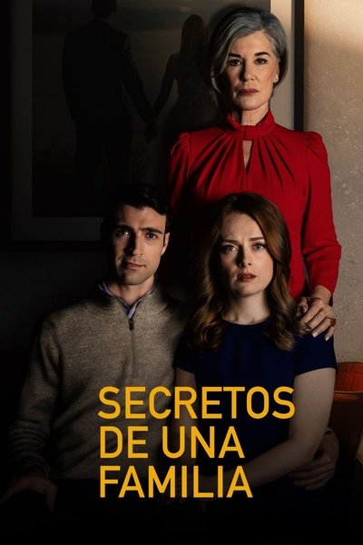 Póster de Los secretos de mi familia