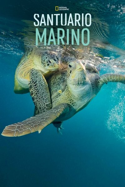 Póster de Los tesoros sumergidos de América