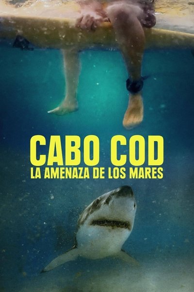 Póster de Los tiburones del Cabo Cod
