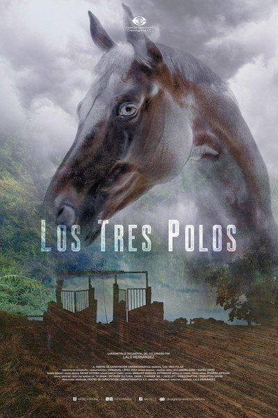 Póster de Los tres Polos