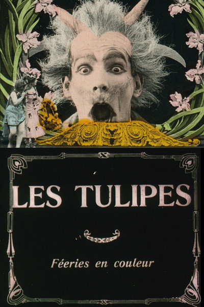 Póster de Los tulipanes