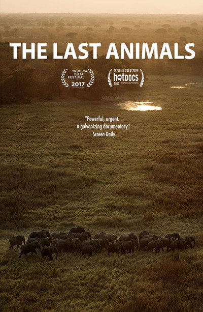 Póster de Los últimos animales