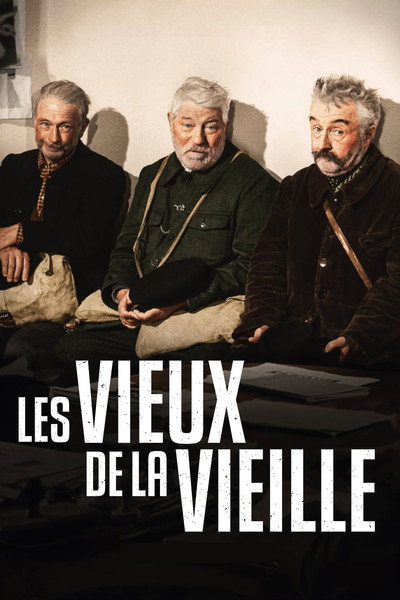 Póster de Los veteranos