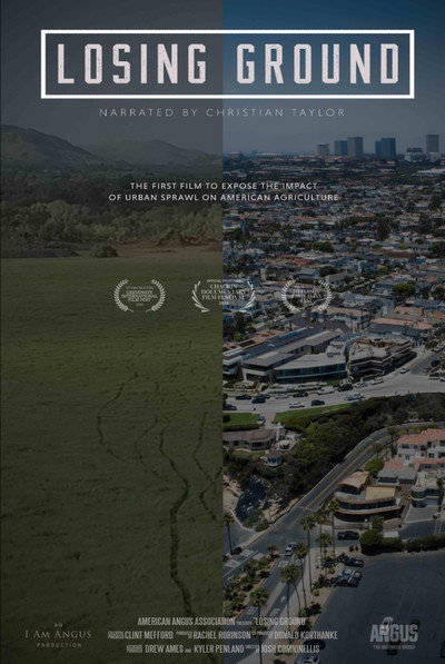 Póster de Losing Ground