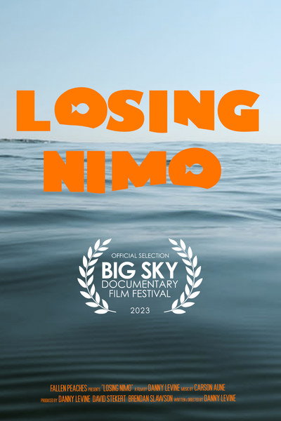 Póster de Losing Nimo