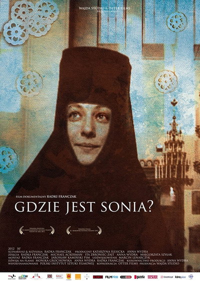 Póster de Losing Sonia