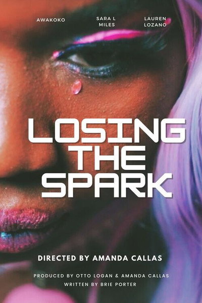 Póster de Losing the Spark