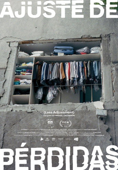Póster de Loss Adjustment