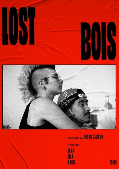 Póster de Lost Bois