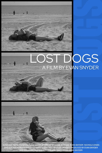 Póster de Lost Dogs
