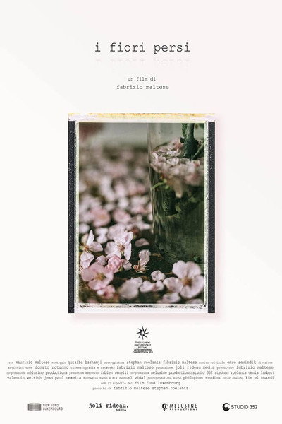 Póster de Lost Flowers