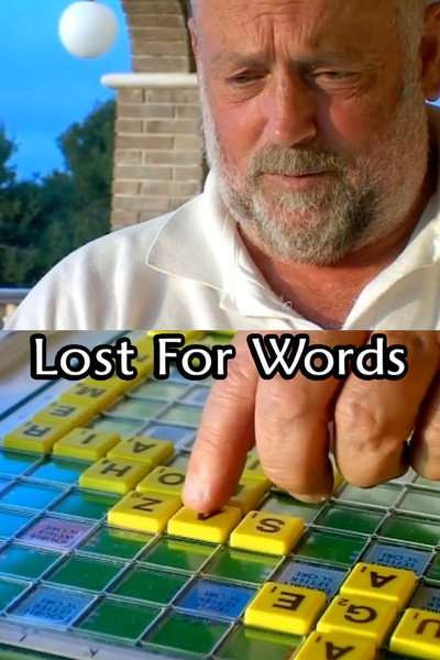 Póster de Lost for Words