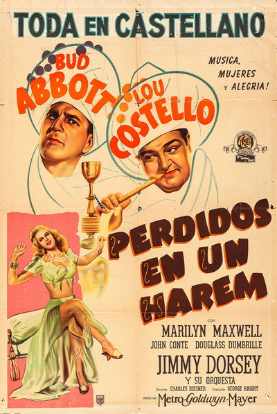 Póster de Lost in a Harem