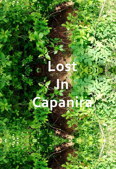 Póster de Lost in Capanira