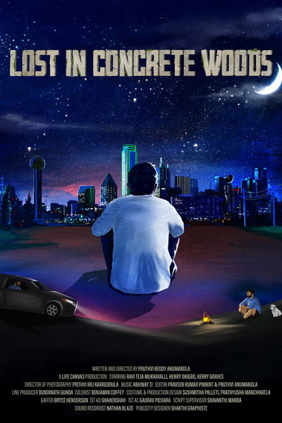 Póster de Lost in Concrete Woods