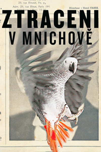 Póster de Lost in Munich