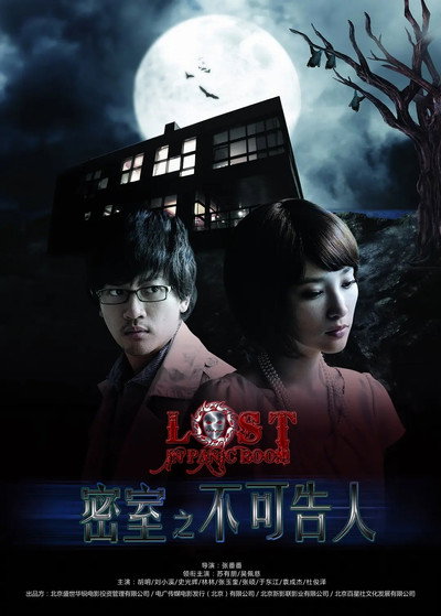 Póster de Lost in Panic Room