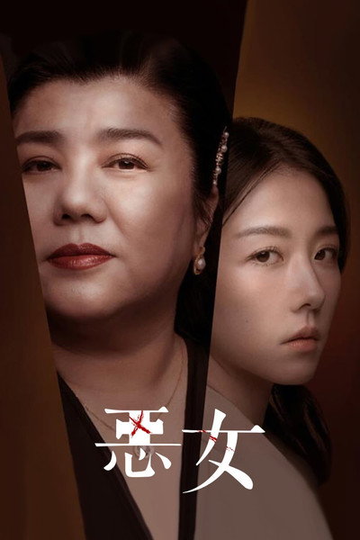 Póster de Lost in Perfection
