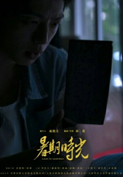 Póster de Lost in Summer