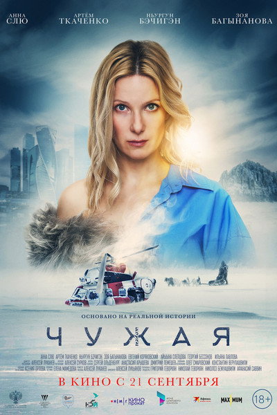 Póster de Lost in the North
