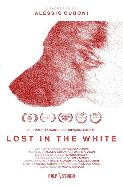 Póster de Lost in the White