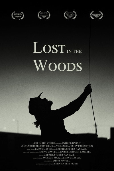 Póster de Lost in the Woods