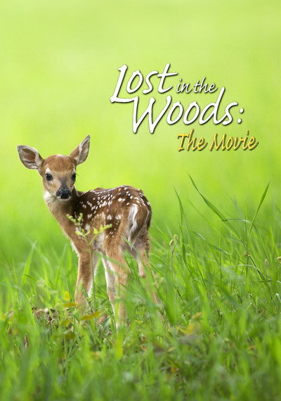 Póster de Lost in the Woods: The Movie