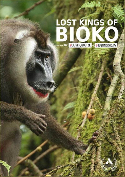 Póster de Lost Kings of Bioko