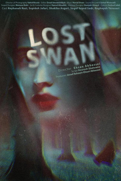 Póster de Lost Swan