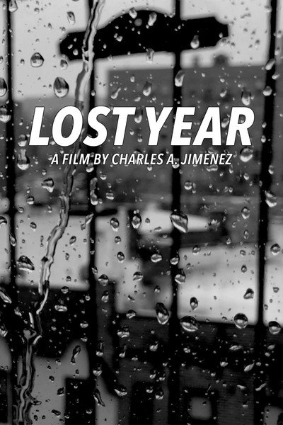 Póster de Lost Year
