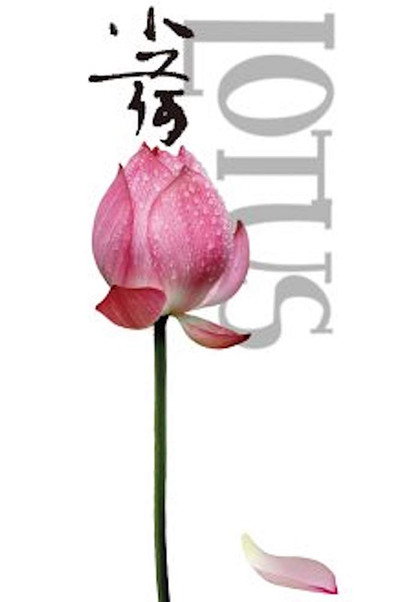 Póster de Lotus