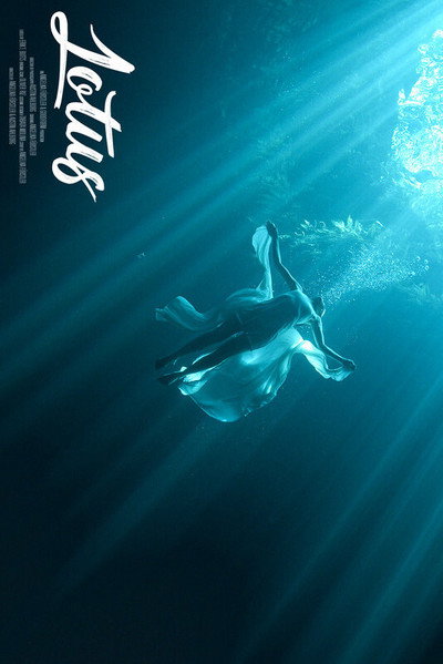 Póster de Lotus