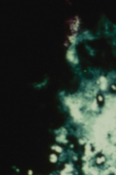 Póster de Loud Visual Noises