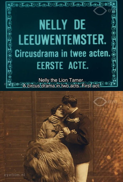 Póster de Love Amongst the Lions