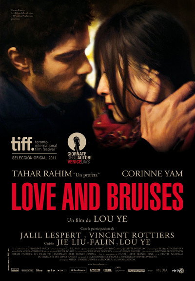 Póster de Love and Bruises
