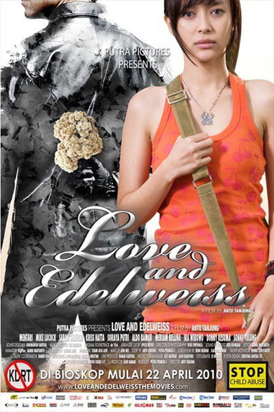 Póster de Love and Edelweiss