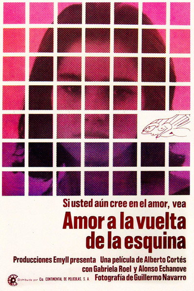 Póster de Love Around the Corner