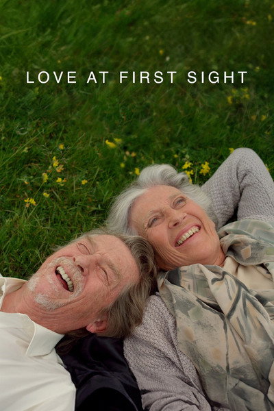 Póster de Love at First Sight